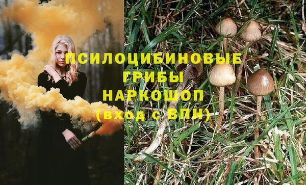 ECSTASY Алексеевка