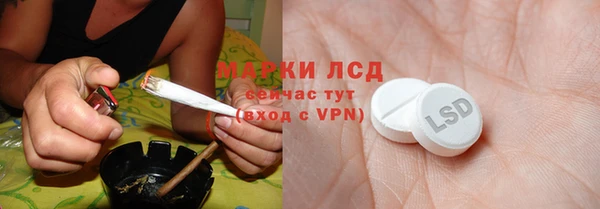 стаф Абинск
