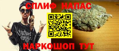 гашик Долгопрудный