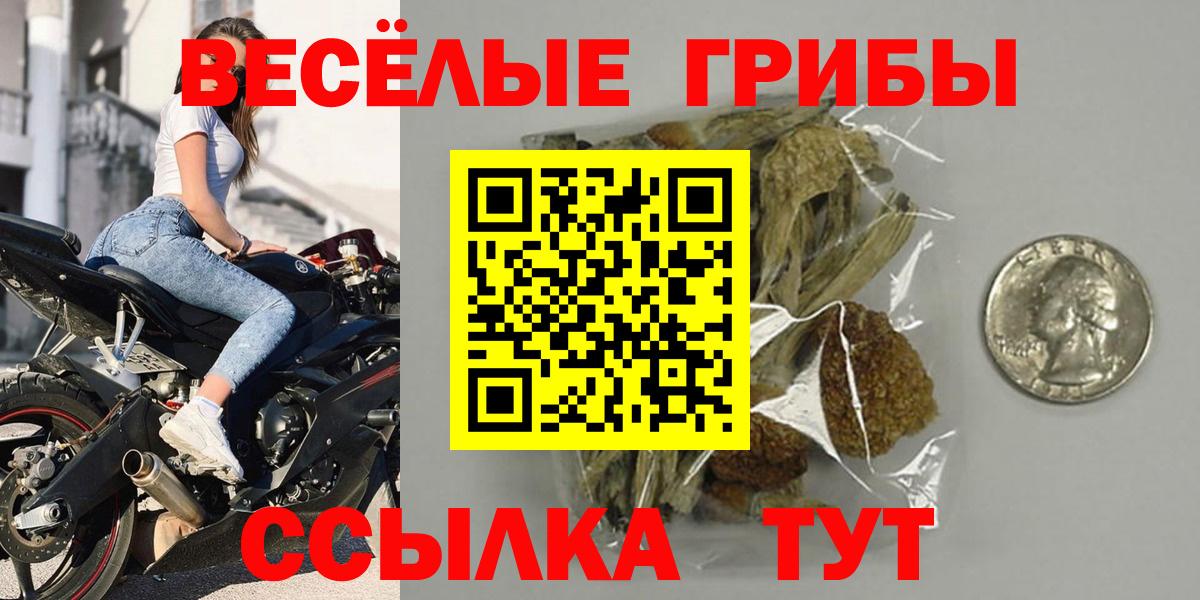 Кинешма  Псилоцибиновые грибы прущие грибы  Галлюциногенные грибы Psilocybine cubensis  Вход с VPN 