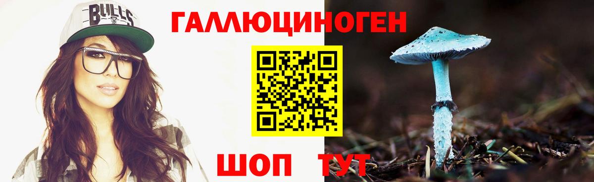Псилоцибиновые грибы прущие грибы Кинешма