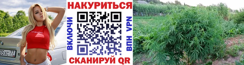 МАРИХУАНА White Widow  купить  цена  Кинешма 